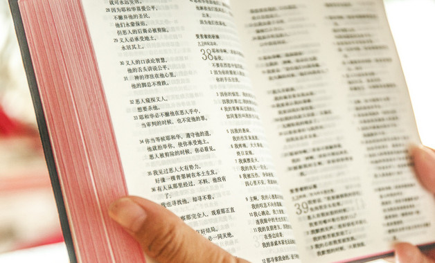 放射性管理制度為了方案（8篇）